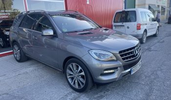 MERCEDES- BENZ  CLASE M completo